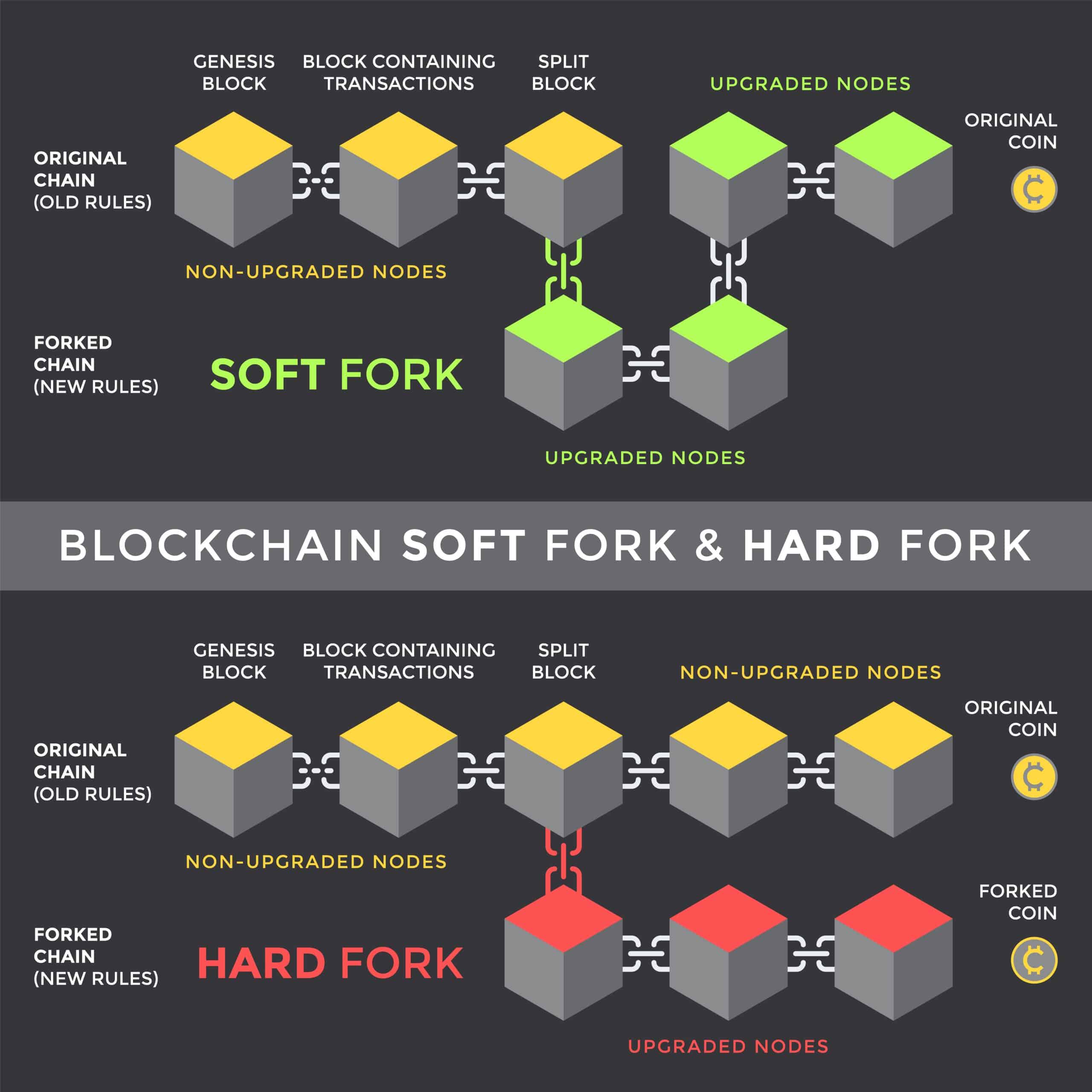 Understanding Forks in Crypto: A Guide for HNWIs