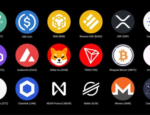 Understanding Altcoins: A Beginner’s Guide for High-Net-Worth Individuals