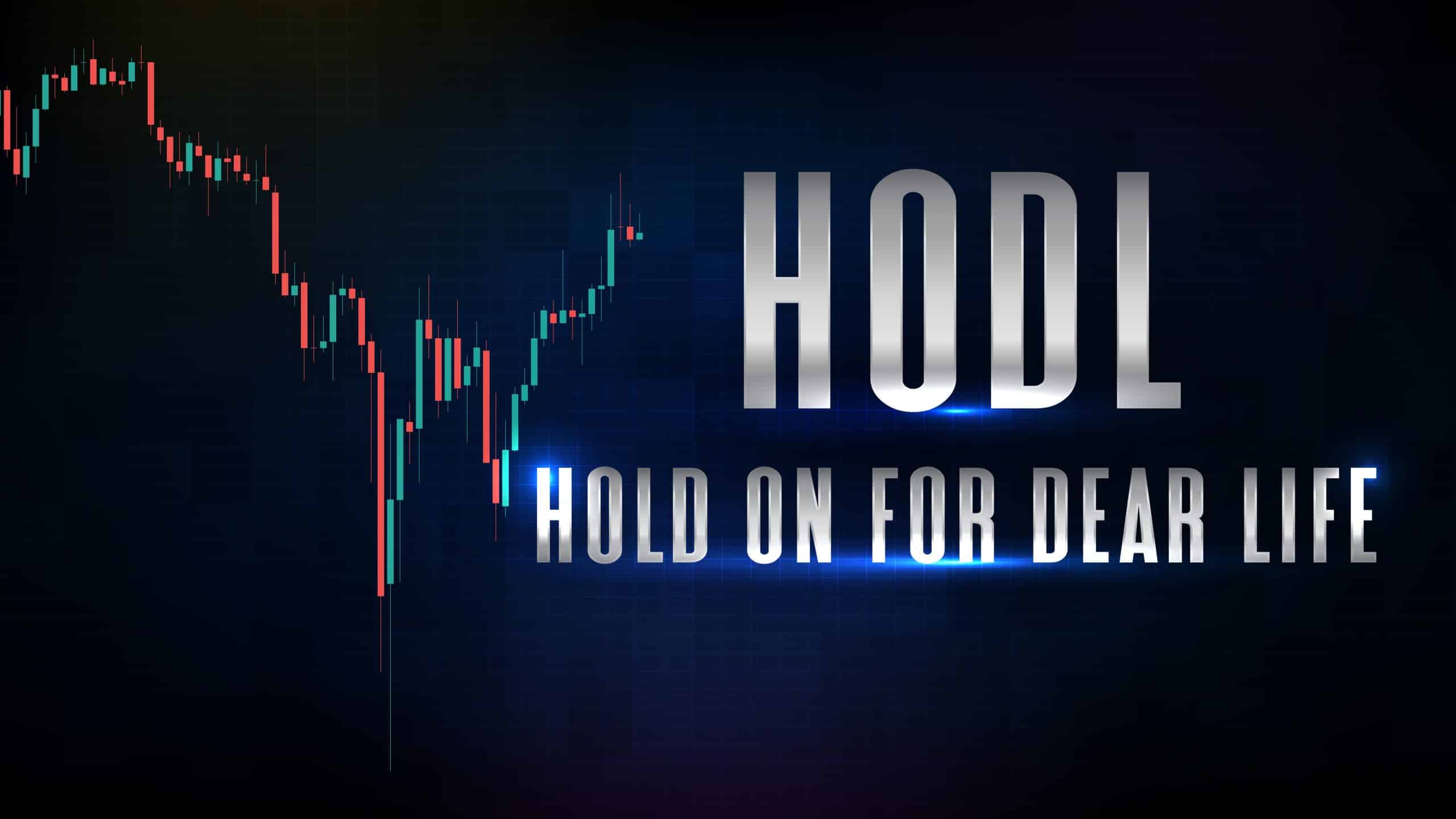 HODL Meaning in Crypto: A Simple Guide for High-Net-Worth Individuals